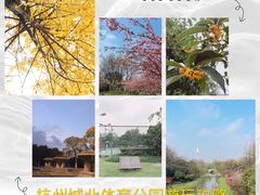 -杭州城北体育公园