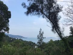 -小皓村