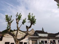 -笃笃笃糖粥(十全街店)