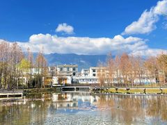 -才村湿地公园