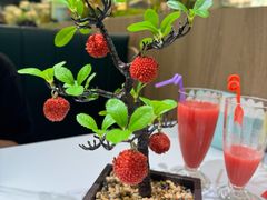 -椿记烧鹅(叠彩店)