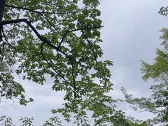 -黔灵山公园