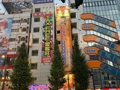 -秋叶原电器街