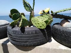 -东极岛景区-东海第一哨灯塔