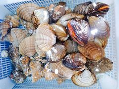 -港畔赶海蒸汽海鲜烧烤自助(仙螺岛店)
