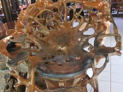 -绿光森林餐厅