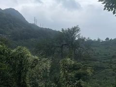-南山植物园