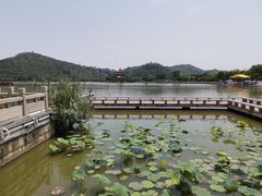 -顺峰山公园