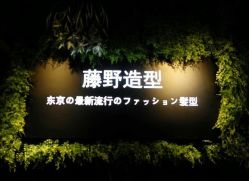 点击看大图 -藤野造型