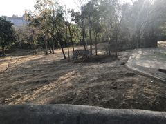 -南昌动物园