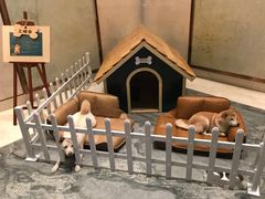 -上海崇明金茂凯悦酒店