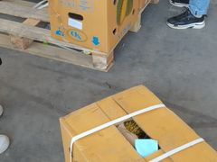 -东方鼎信农副产品交易中心