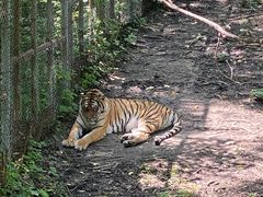 -哈尔滨北方森林动物园