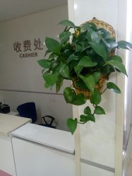 点击看大图 -五洲妇儿医院