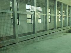 -合肥野生动物园