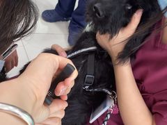 -纳吉亚猫专科动物医院博雅分院