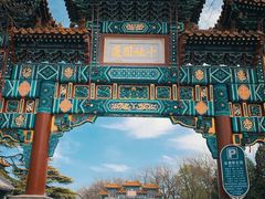 -北京国子监胡同