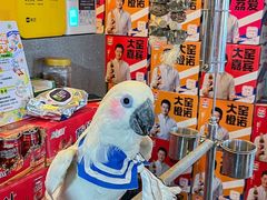 -石锅苗苗鱼(武汉首店)
