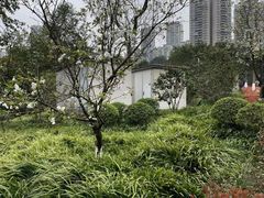 -龙头寺公园