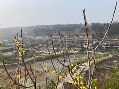 -渭南桃花源民俗文化园