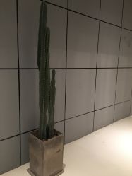 -无界瑜伽普拉提