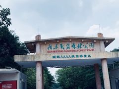 -广东茂名森林公园