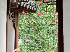 -上海醉白池公园