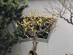 -无锡梅园公园