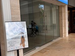 -三亚海棠湾喜来登度假酒店