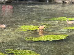 -水磨沟公园