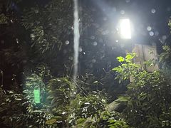-满記土窑烧鷄波浪山莊