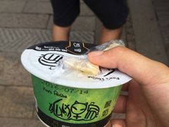-狐狸家·酸奶酪专门店(平江路店)