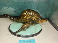 -国家自然博物馆