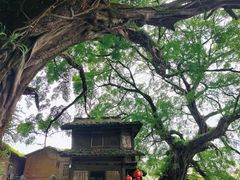 -福建土楼(南靖)景区
