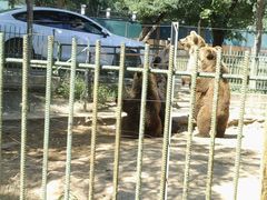 -秦皇岛野生动物园