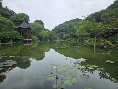 -云溪植物园