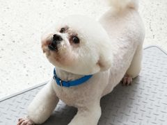 -宠颐生宠物医院·异宠猫科内科·诊疗中心宠巢店