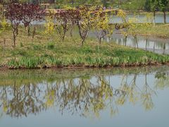 -东郊湿地公园