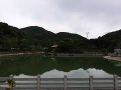 -广州市帽峰山景区