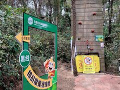 -芦仙山景区-飞越丛林探险乐园
