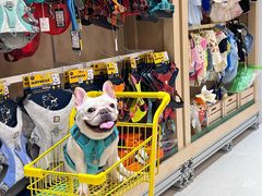 -帕帕拉兹宠物(亚洲旗舰店)