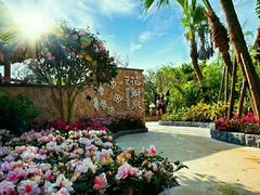 花瓣泉-厦门日月谷温泉渡假村