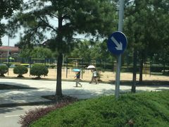 -同济大学(嘉定校区)