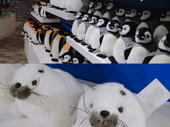 -成都浩海立方海洋公园