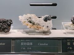 -中国地质博物馆