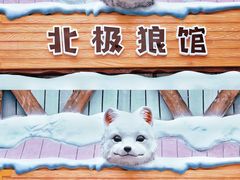 -海合安成都极地海洋公园