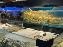 -苏格里岛自助烤肉海鲜火锅(成都金牛万达店)