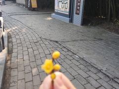 -叶县县衙博物馆景区