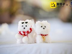 -中海环宇荟