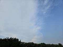 -深圳湾公园(南山区)